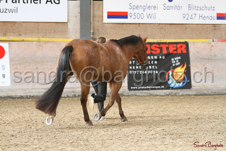 24-ApHC HIH_116.jpg